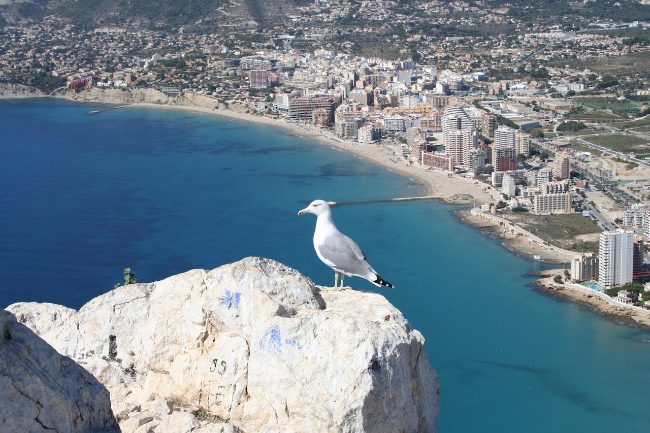 Estudio Reformado Cerca De La Playa Ac Wi-fi Neftlix Acepta Mascotas * Calpe